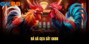 da-ga-cua-sat-gk88